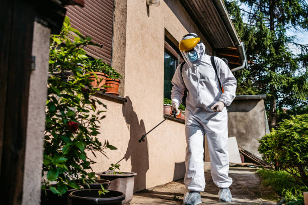 Wasp Removal Services in Potomac, MD